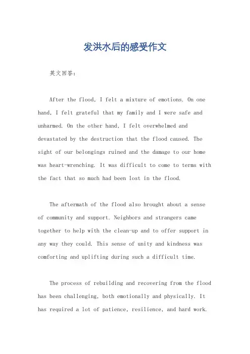 发洪水后的感受作文