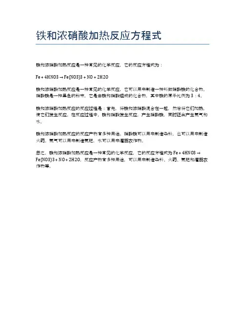铁和浓硝酸加热反应方程式
