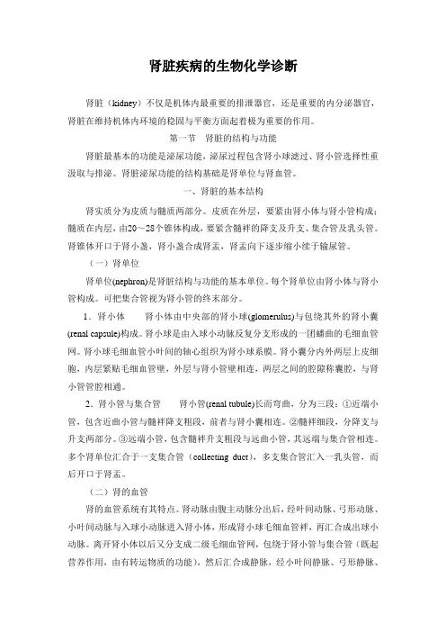 肾脏疾病的生物化学诊断