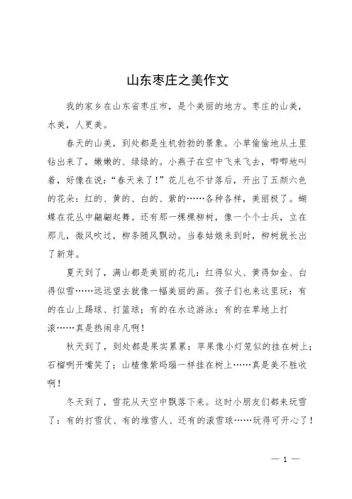 山东枣庄之美作文