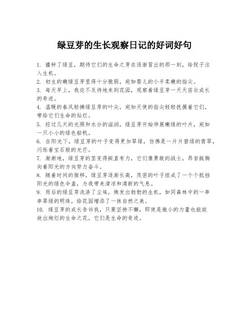 绿豆芽的生长观察日记的好词好句