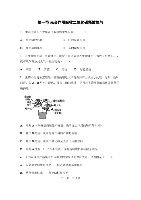 人教版七年级生物上册补充习题(含答案)光合作用吸收二氧化碳释放氧气