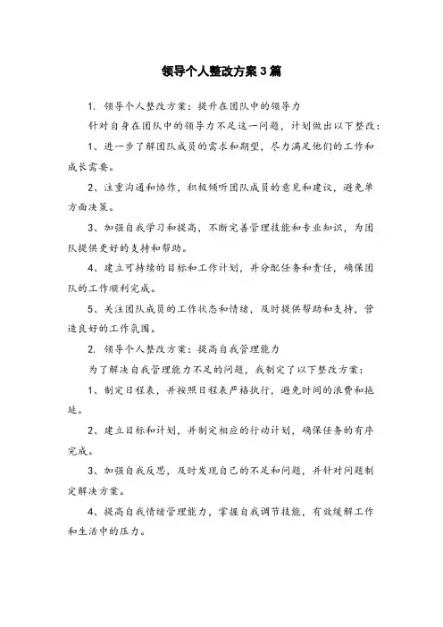 领导个人整改方案3篇
