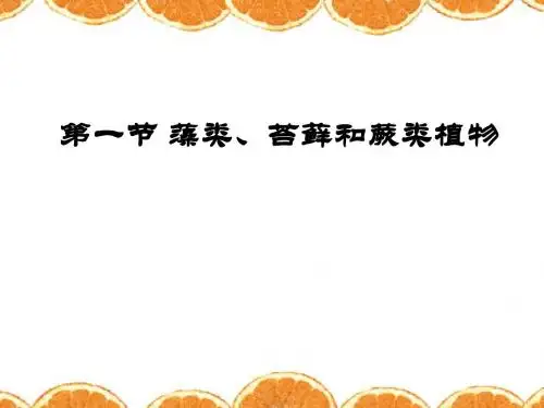 【初中生物】藻类、苔藓和蕨类植物PPT课件4