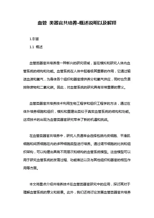 血管 类器官共培养-概述说明以及解释