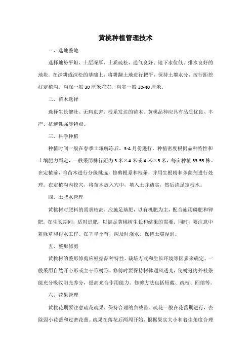 黄桃种植管理技术