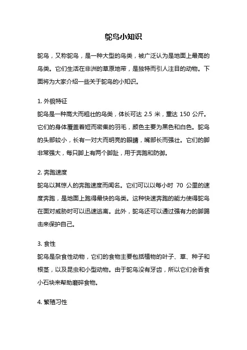 鸵鸟小知识