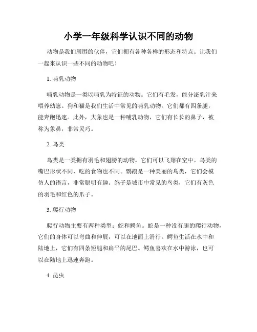 小学一年级科学认识不同的动物