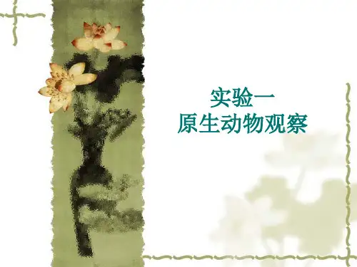 动物学实验(一)