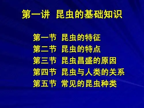 昆虫学 第一讲 昆虫的基础知识