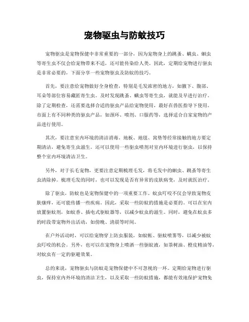 宠物驱虫与防蚊技巧