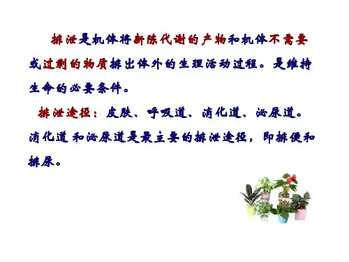 老年人的排泄护理ppt课件