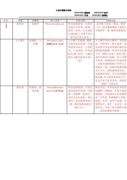 九龙公园树木识别