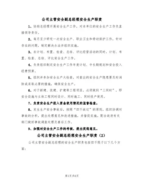 公司主管安全副总经理安全生产职责(5篇)