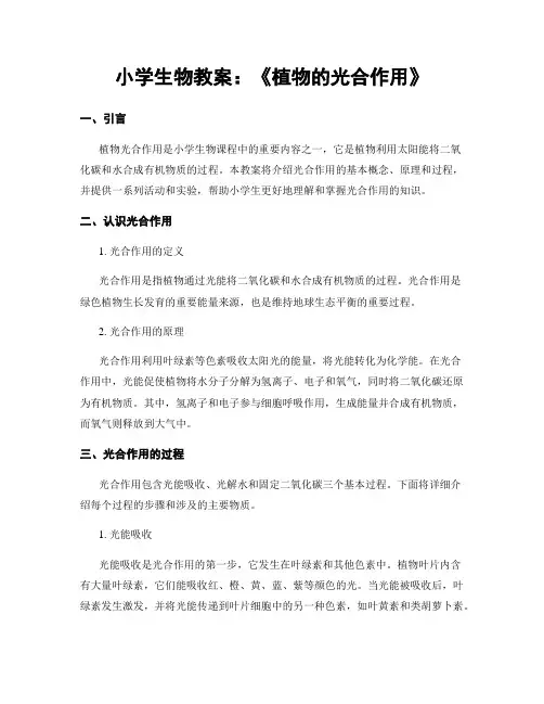 小学生物教案：《植物的光合作用》
