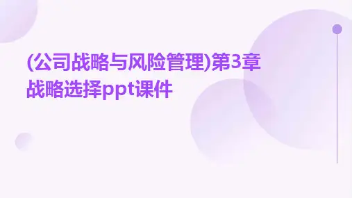 (公司战略与风险管理)第3章战略选择PPT课件