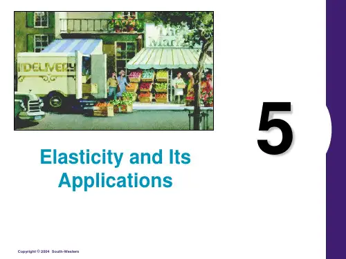 5elasticity 曼昆 微观经济学课件