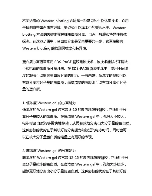 不同浓度western胶 分离能力