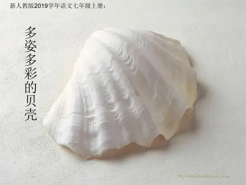 新人教版语文七年级上册：贝壳_席慕容(共10张ppt)