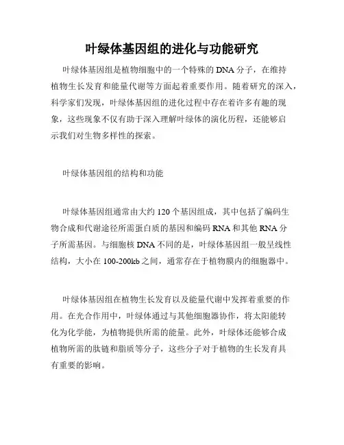 叶绿体基因组的进化与功能研究