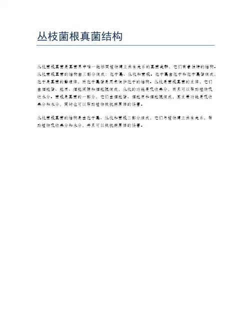 丛枝菌根真菌结构