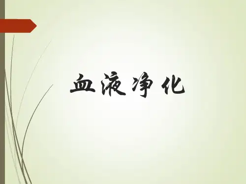 血液净化