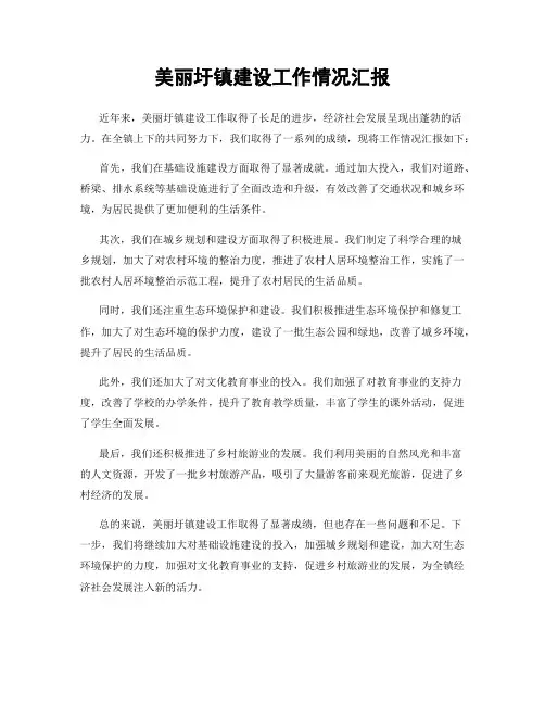 美丽圩镇建设工作情况汇报