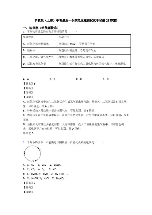 沪教版(上海)中考最后一次模拟压题测试化学试题(含答案)