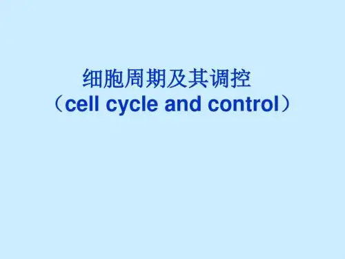 细胞周期和机制调控
