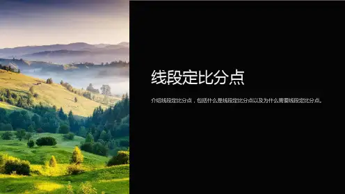 《线段定比分点》课件
