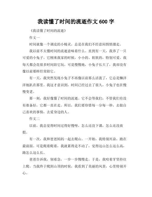 我读懂了时间的流逝作文600字