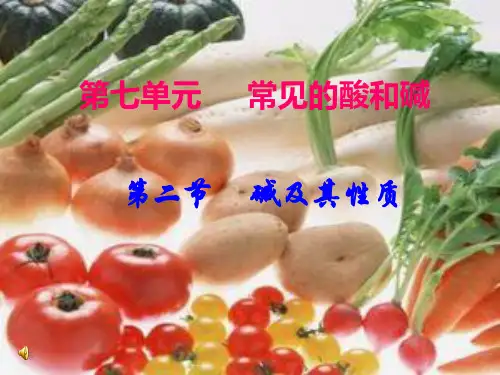 鲁教版九年级化学7.2《-碱及其性质》(共张PPT)