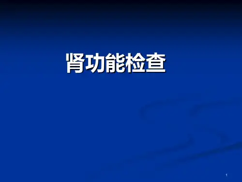 诊断学-肾脏实验室检查
