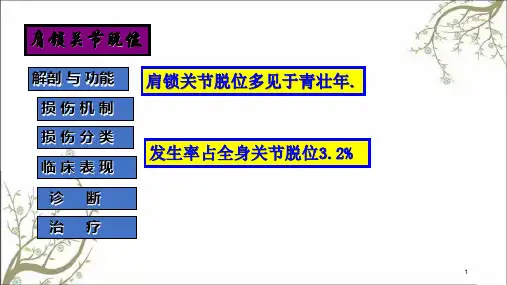 肩锁关节脱位课件