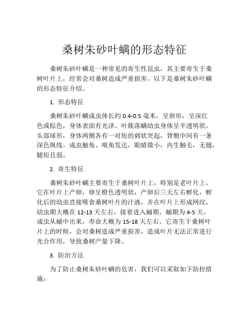 桑树朱砂叶螨的形态特征