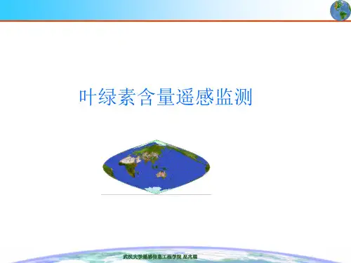 台湾海峡叶绿素浓度反演