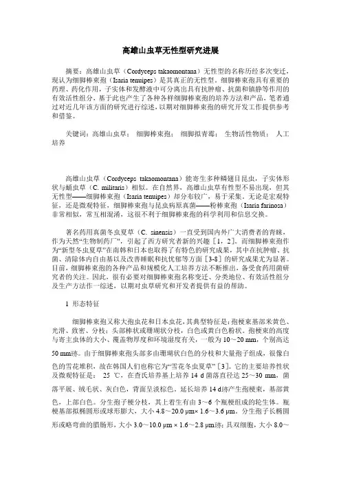 高雄山虫草无性型研究进展