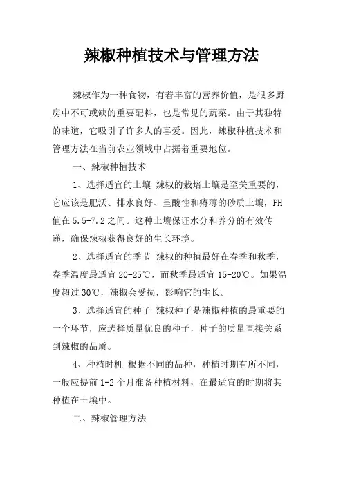 辣椒种植技术与管理方法