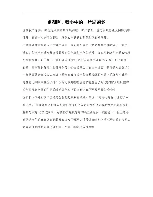 我的家乡巢湖作文不少于300