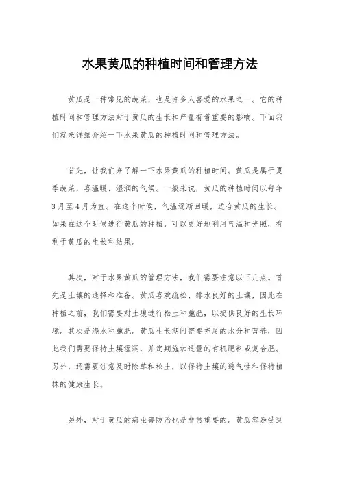 水果黄瓜的种植时间和管理方法