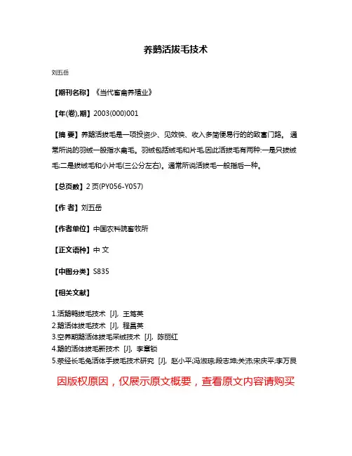 养鹅活拔毛技术