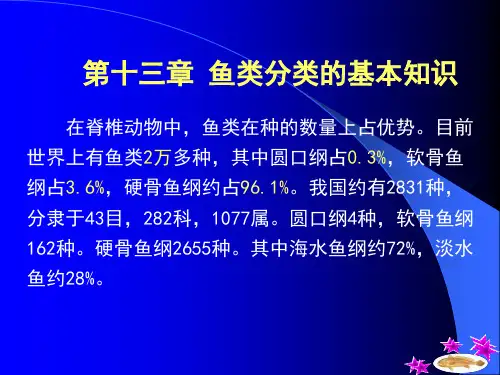 鱼类的基本分类方法