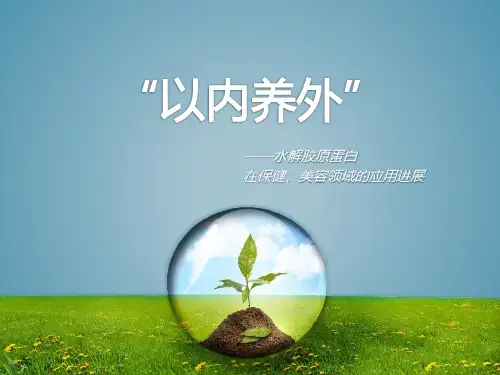 胶原蛋白