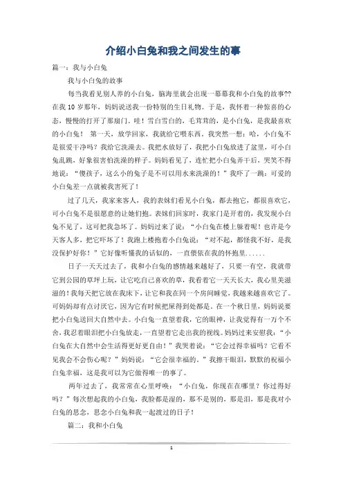 介绍小白兔和我之间发生的事