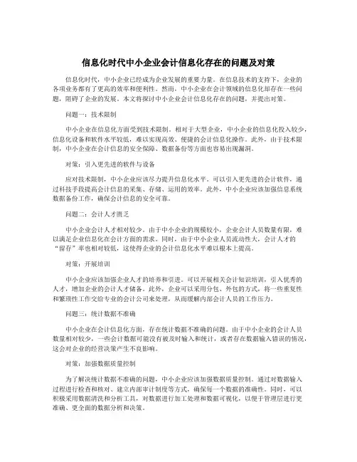 信息化时代中小企业会计信息化存在的问题及对策