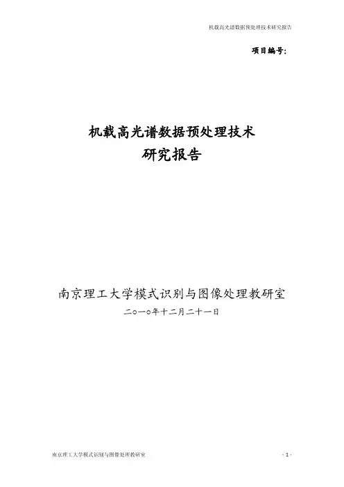 机载高光谱数据预处理技术研究报告