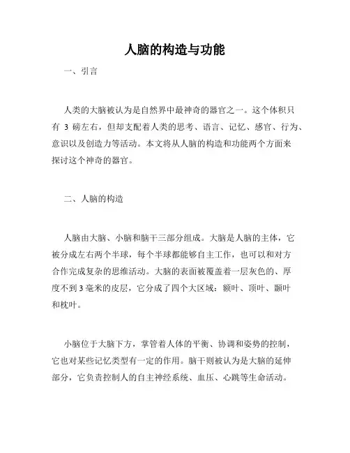 人脑的构造与功能