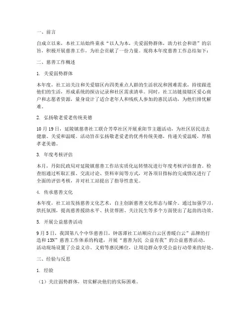 社工站慈善总结范文