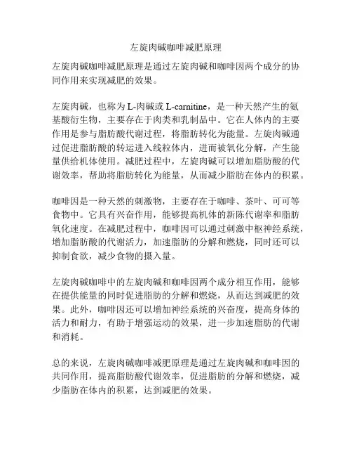 左旋肉碱咖啡减肥原理