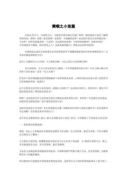 黄喉之小苗饲养篇